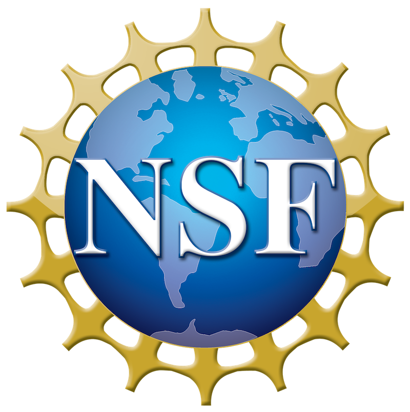 NSF Logo Resized.png